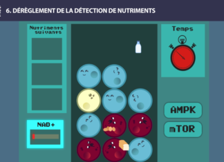 nutriments 1 long long life transhumanisme longévité vieillissement