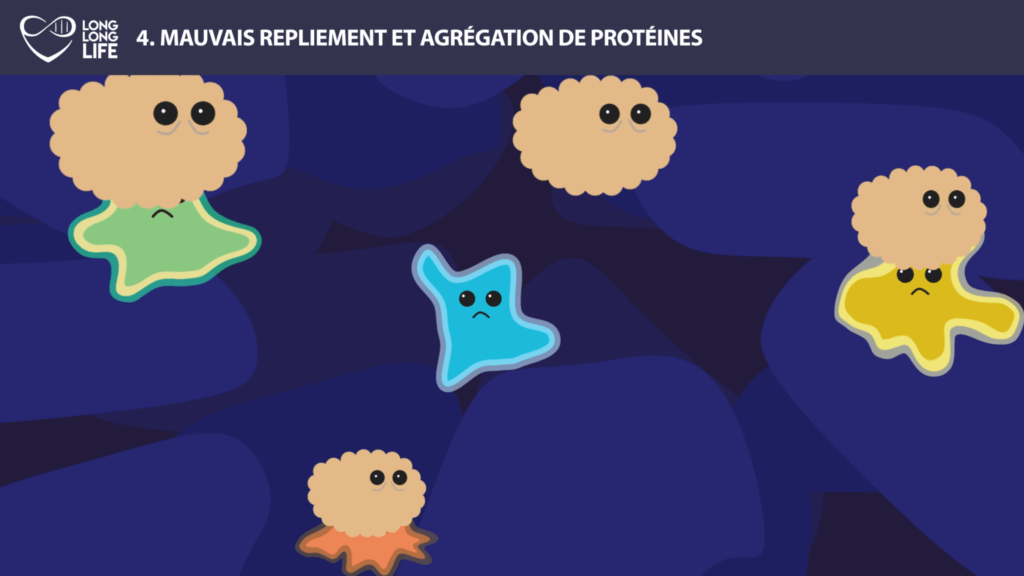 old proteins long long life 9 causes of aging longevity transhumanism