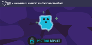 protéine long long life 9 causes du vieillissement longévité transhumanisme