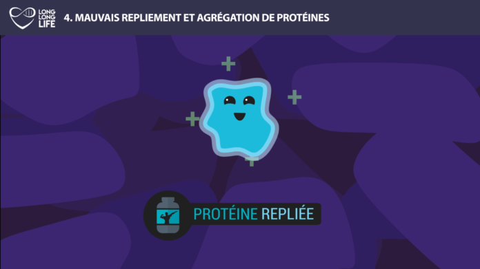 protéine long long life 9 causes du vieillissement longévité transhumanisme