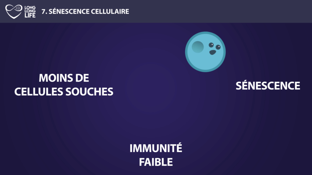 senescence long long life longevity transhumanism aging vicious circle