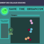 stem cells long long life transhumanism longevity aging