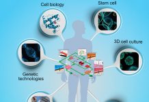 organ-on-chip-microfluidic-research-project featured image
