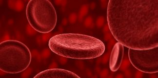 Blood plasma and longevity-Plasma received from young people may have a rejuvenating effect