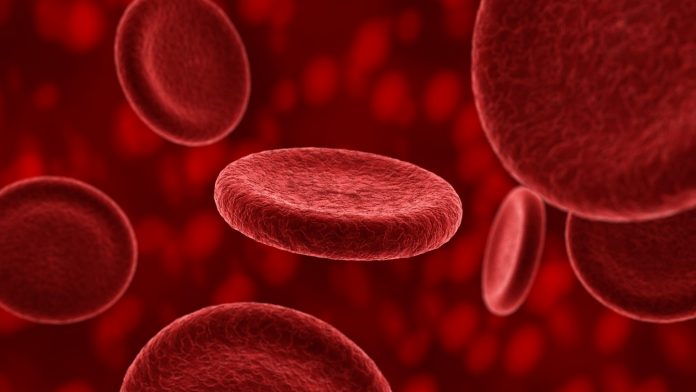 Blood plasma and longevity-Plasma received from young people may have a rejuvenating effect