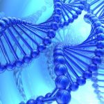 Big Data et outils bio-informatiques pour l'analyse du génome humain