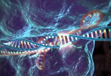CRISPR-Cas9 vieillissement