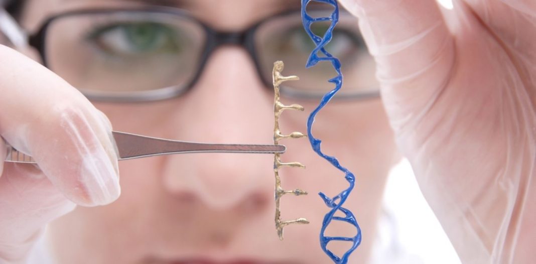 Innovative Gene Therapy For Duchenne Muscular Dystrophy Work For Human Longevity