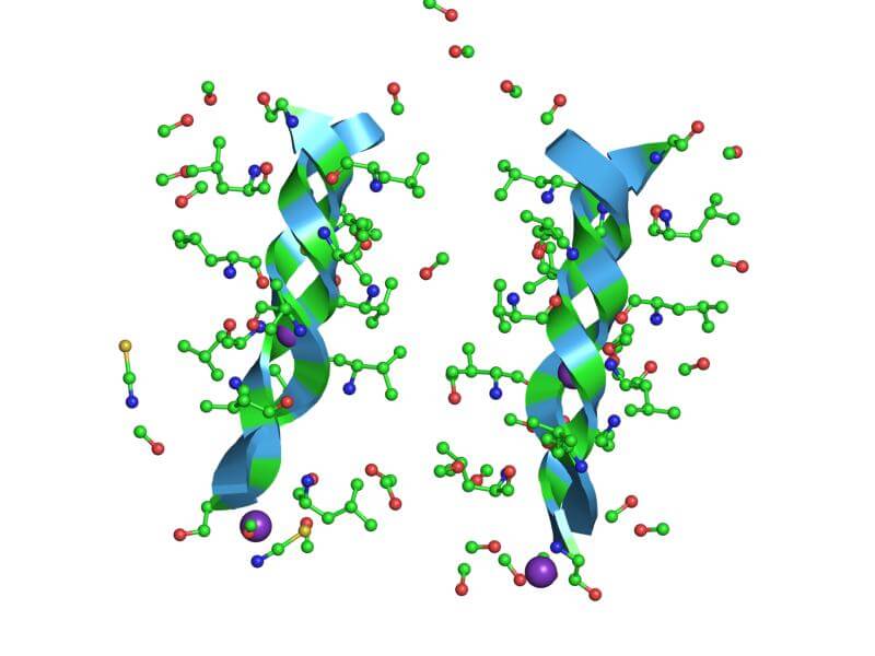 stress cellulaire