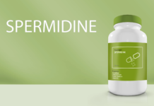 spermidine