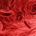 Red_Blood_Cell-Long-Long-Life-cancer-aging healt longevity transhumanism