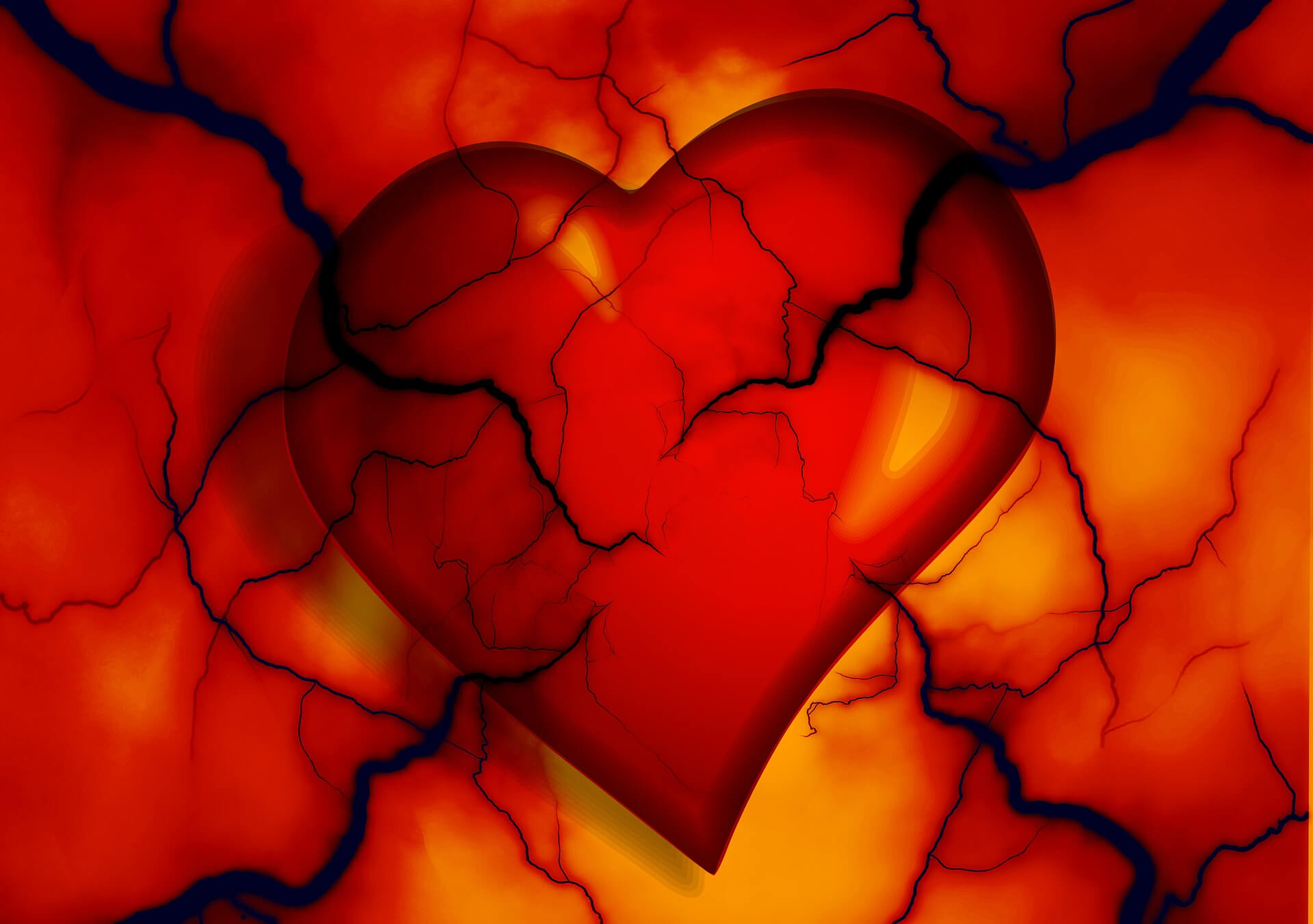 coeur 1 Long Long Life cardiovasculaires vieillissement santé longévité